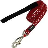 Red Dingo Laisse Pour Chien Stars