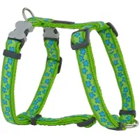 Red Dingo Harnais pour chien Style étoile vert 30-48 cm
