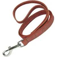 Gloria Laisse Pour Chien Oasis