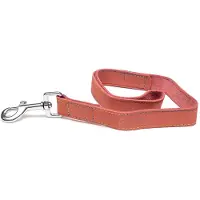 Gloria Laisse Pour Chien Oasis