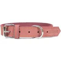 Gloria Collier De Chien Oasis