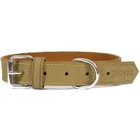 Gloria Collier De Chien Oasis
