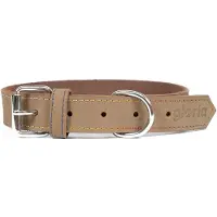 Gloria Collier De Chien Oasis