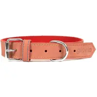Gloria Collier De Chien Oasis