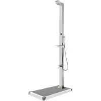 vidaXL Douche de jardin avec plaque de sol grise 225 cm acier inoxydable
