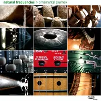 Sonic Ornamental Journey