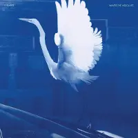Konkurrent Waver The Absolute
