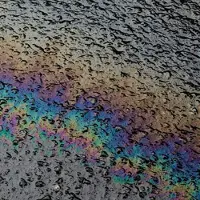 Import In situ