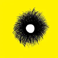 Konkurrent Sunshine Redux