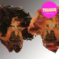 Import Hot Wet and Sassy Vinyle Transparent