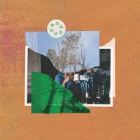 Import Always Repeating Vinyle Gris Transparent
