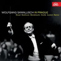 OUTHERE Wolfgang Swallisch À Prague