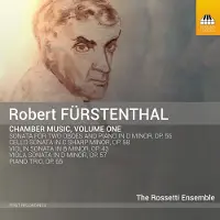 OUTHERE Furstenthal / Rossetti Ensemble - Chamber Music 1 [Compact Discs]