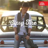 DISTRART M CNT Gipsy fire - Les oeuvres pour violon