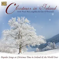 Sonic Christmas In Ireland