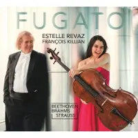 Socadisc Cnt Fugato