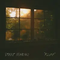 Konkurrent Steve Marino - Fluff [Cd]