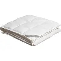 Yumeko - Couette/Edredon - Duvet De Canard - 260x220 - Blanc