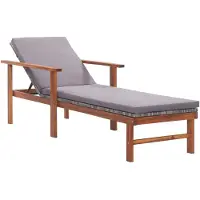 vidaXL Chaise longue avec support Poly Rotin Acacia Bois Massif Gris