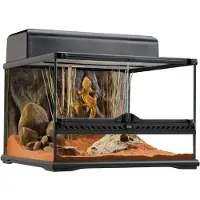Exo Terra Natural Terrarium Nano Terrarium Vert 22 x 22 x 33 cm
