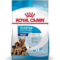 Royal Canin SHN MAXI STARTER M&B 4Kg - pour les chiens de grande race et leurs chiots, 550778770