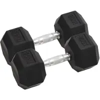 vidaXL Haltères courts 2 pièces 30 kg en fonte