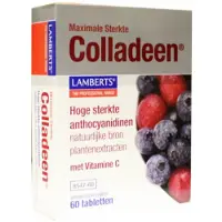 Lamberts Colladeen Lamberts 60 comprimés