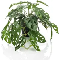 Emerald Buisson Monstera artificiel Monkey 55 cm en pot
