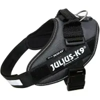 JULIUS K-9 Idc Power Dog Harness Gris M-0