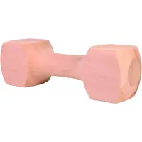 Trixie - Bloc à rapporter - Angulaire - 650 g