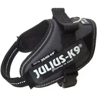 Julius-K9 Julius K9 IDC Power harnais pour chien Mini Mini Anthracite 16IDC-ANT-MM