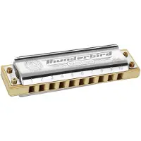Hohner Marine Band Thunderbird Low C/do Grave - 10 Trous
