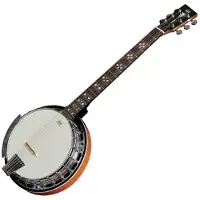Vgs Banjos Premium 6 Cordes Avec étui