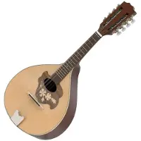 Gewa Mandoline Dos Plat Pro Arte Modle 2 Finition Brillante