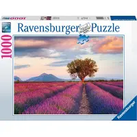 Ravensburger Champs de lavande (1000) - Puzzle classique