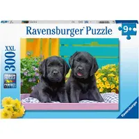 Ravensburger Labradors noirs, 300pcs.