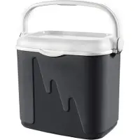 Curver Coolbox - 32L - Anthracite