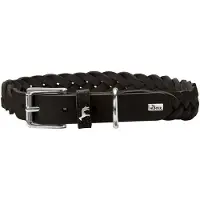 Hunter Collier Solid Education Special (Chien)