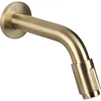 Differnz Muurkraan - Koud Water - Wastafelkraan - 11 cm - Mat Goud (30.416.04)