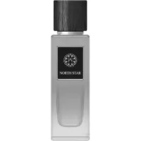 The Woods Collection Natural North Star Eau de Parfum 100 ml