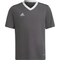 Adidas T-Shirt - ENT22 JSYY - Gris/Blanc - - 12 ans (152) - T-Shirt