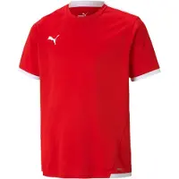 Puma T-shirt JR Teamliga Jersey, 70492501, Pointure: 164