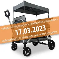 FUXTEC Chariot pliable FUXLIFE by - Premium - FX-CTXL900 4 places, gris, avec sièges doubles et ceintures à 5 points, grand espace intérieur et toit, pliable, gris
