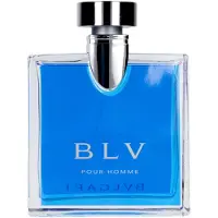 Bvlgari Blv Eau De Toilette Spray - Blv Pour Homme - 100ml/3.3oz