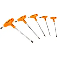 Beta Ensemble de 5 poignées en T Inbus - 96 T / S5P