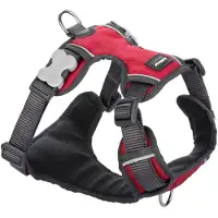 Red Dingo Harnais pour chien rembourré rouge taille XL