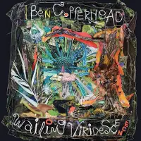 Konkurrent Ben Copperhead - Wailing Viridescence [Vinyl Lp]