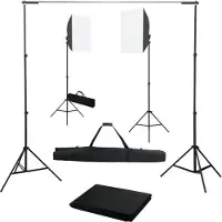 vidaXL Kit de studio photo avec boîtes à lumière et toile de fond