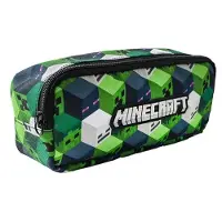 Kids Euroswan Minecraft