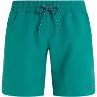 Protest Haupuka Swimming Shorts Vert XS Femme